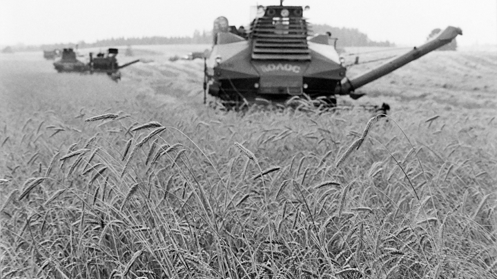 Ситуация в Курске 13 июля 2022: главное