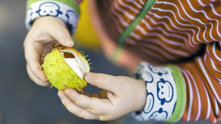 Продлёнка с палочкой Коха: Малыши шли в детский сад, не зная об опасной болезни воспитательницы