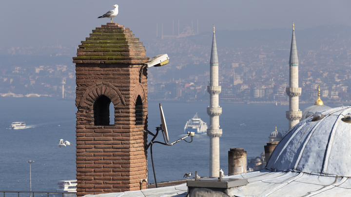 Турция дала пощёчину Британии. Киев остался без подарка