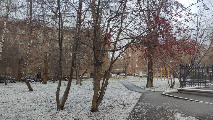 Новосибирцам напомнили, когда выходить на работу после ноябрьских праздников