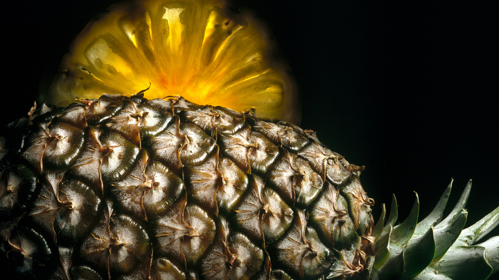 Почти сработало. Неохота полы перемывать: Русские проверили лайфхак из интернета с ананасом