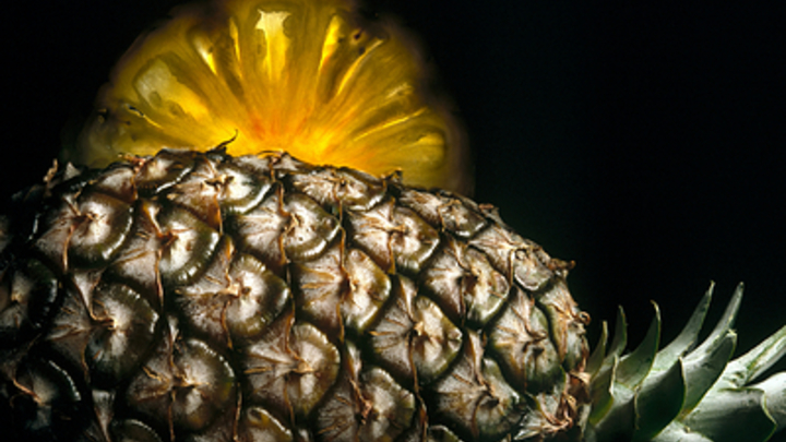 Новый метод борьбы с болезнью Альцгеймера может стать открытием школьницы из России