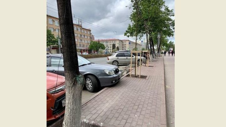 Деревья на проспекте Ленина в Челябинске освободят из плена