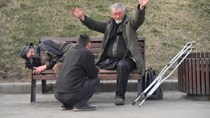 Скотская жизнь: В Болгарии политик назвал цену санкциям ЕС против России