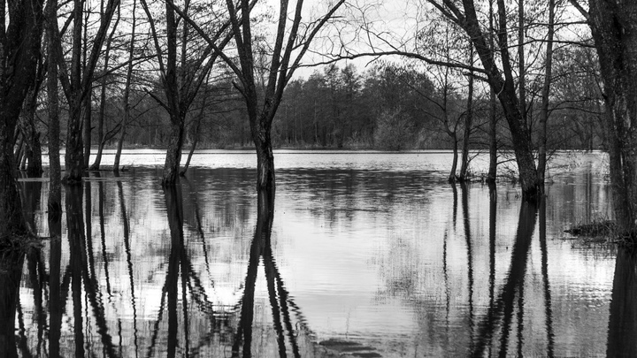 В Павловском районе навигатор завёл путешественников в водную ловушку: машина утонула, люди спаслись