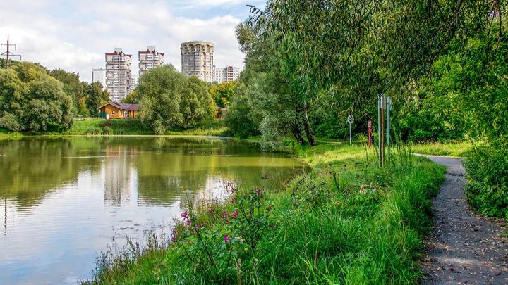 В Москве создан экспертный совет по сохранению и развитию Лосиного острова