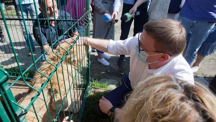 После визита губернатора к Симбе челябинский приют получит новое место