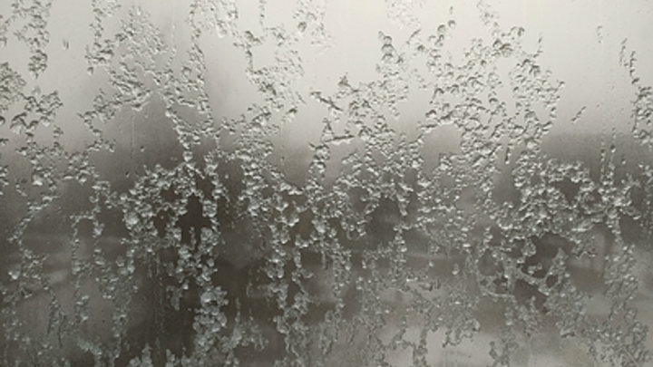 Температурная аномалия в Москве: Синоптики дали прогноз на начало февраля