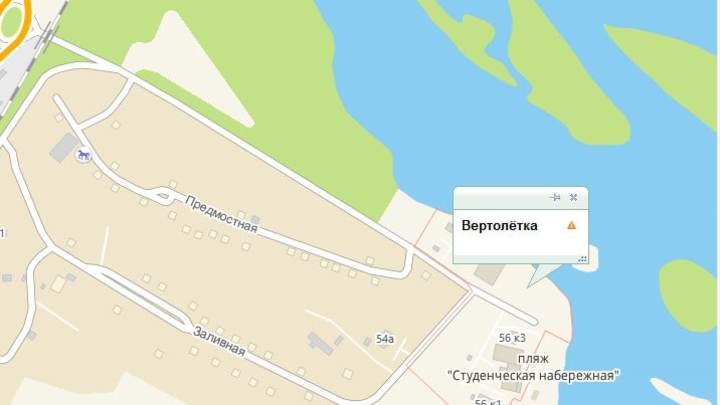 Дикие утки облюбовали новое место обитания в Новокузнецке