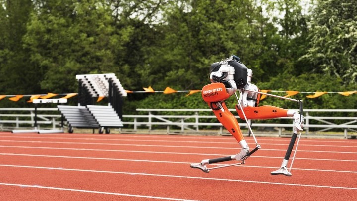 Учёные бьют тревогу: искусственный интеллект выходит из-под контроля