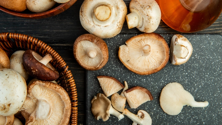 Грибы начали расти в Подмосковье. Даю шестое интервью на эту тему - учёный всё объяснил