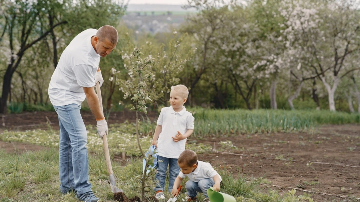 Юрист объяснил, что делать, если вы нашли клад на дачном участке