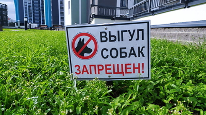 В Госдуме предлагают обязать владельцев животных ставить их на учёт