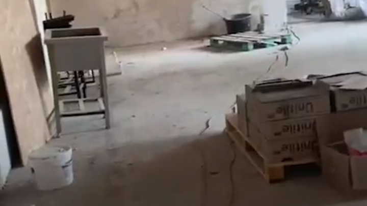 Починили? В Ленобласти директор отказался принимать школу, которая утонула в плесени после ремонта