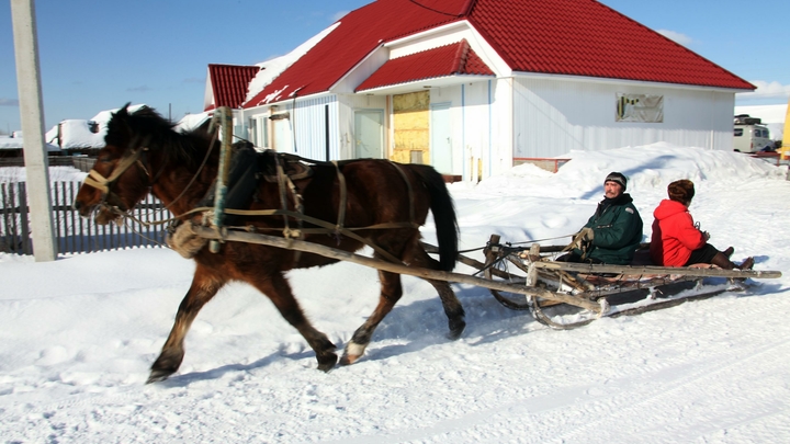 Врачи ехали к пациентке на лошади и не успели, женщина умерла: Детали трагедии в Марий Эл