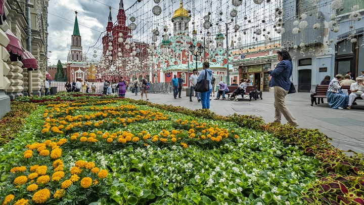 Более 110 тысяч цветов высадили в Нижнем Новгороде в прошлом году