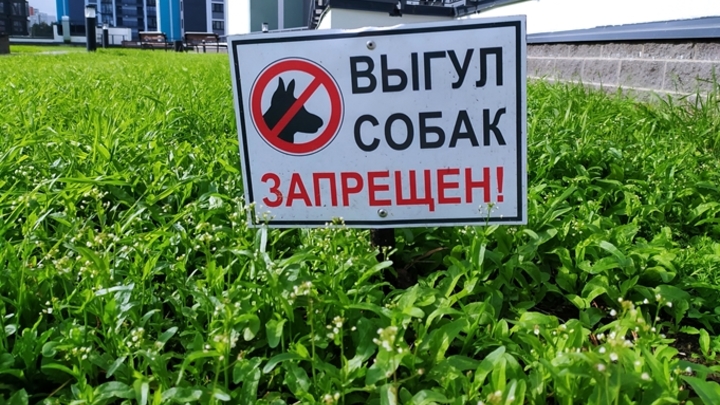 Власти Кемерова опубликовали список мест, запрещенных для выгула собак
