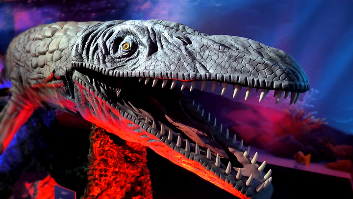 На английском пляже обнаружили останки крупнейшего ихтиозавра Земли