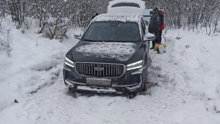 Челябинская семья пропала в лесу в новогоднюю ночь