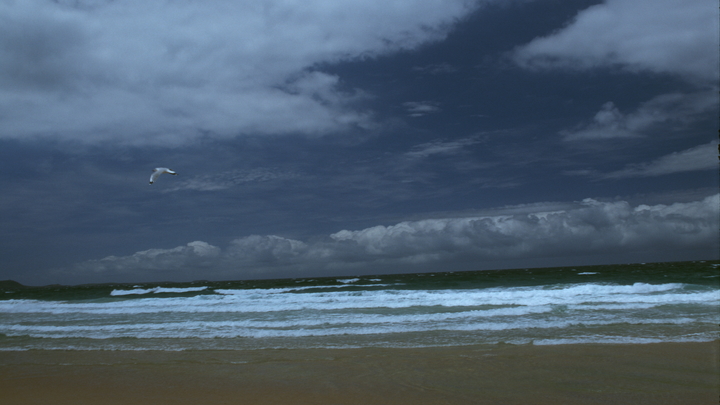 Геофизики из Австралии обнаружили связь между штормами в Тихом океане и землетрясениями