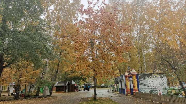 Погода в Краснодарском крае 5 ноября 2021: туманно и тепло