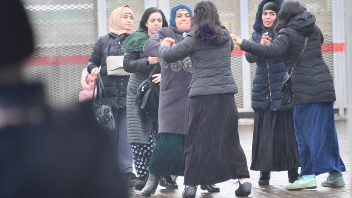 Цыгане измотали дачников в Новосибирской области. Полиция не в силах помочь