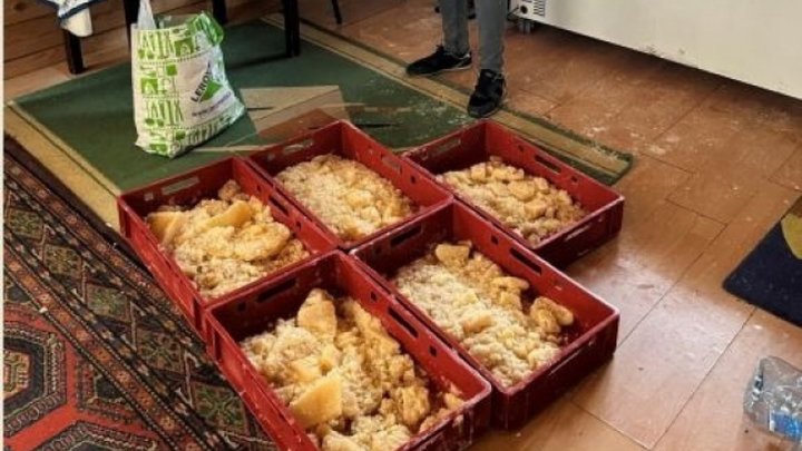 Крупную нарколабораторию взяли штурмом сотрудники ФСБ под Новосибирском