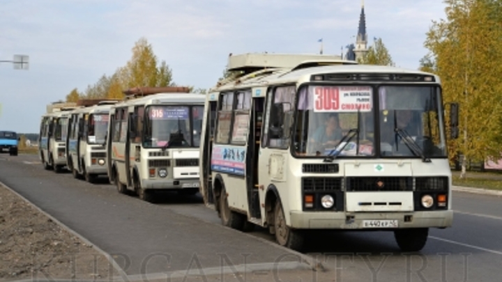В Кургане ученикам начальных классов вернут льготный проезд в автобусах