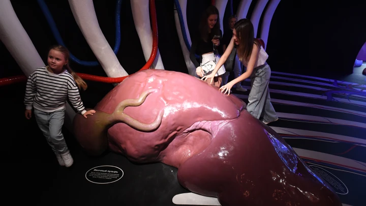 Ученые нашли способ улучшить приживаемость органов