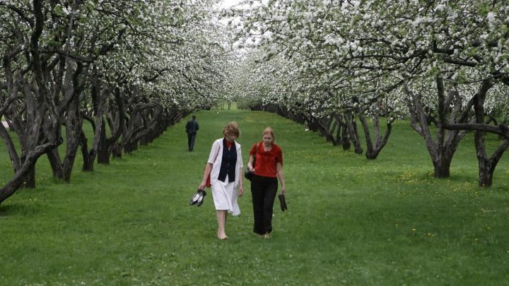 В Москве до 5 апреля установится аномальная жара