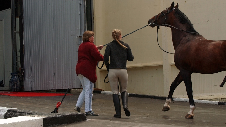 Пожар повторился ровно через год: Конная школа на Лосином Острове вспыхнула во второй раз