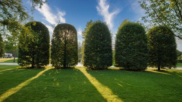 Ландшафтные дизайнеры показали, как будет выглядеть новая очередь парка Краснодар