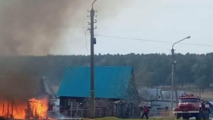 Уголовные дела из-за пожаров возбуждены в Новосибирской области