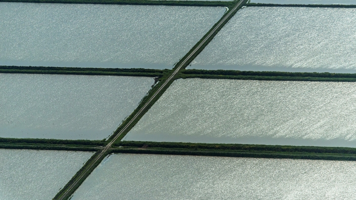 На Кубани из-за мезоциклона пострадало около 11% урожая риса