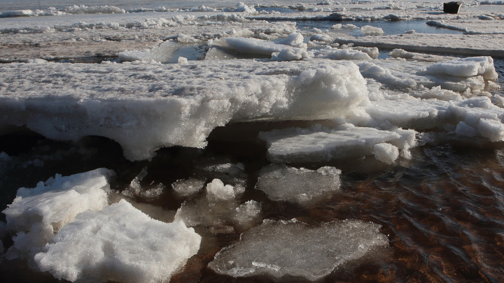 Ломай лёд, Андрюха!: Нижегородец прыгнул в ледяную воду ради спасения собаки