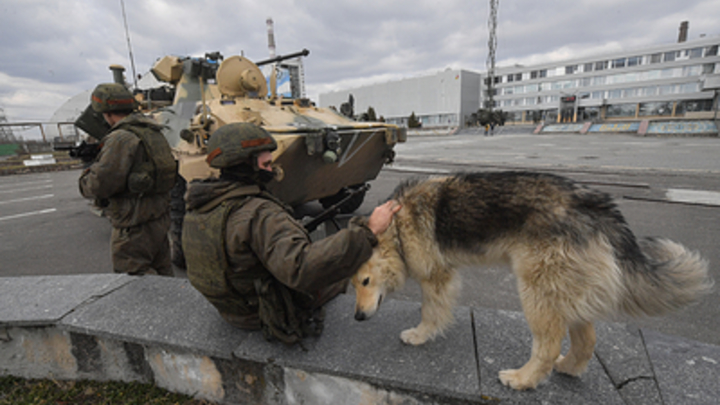 Росгвардейцы привезли домой спасённых на Украине собак