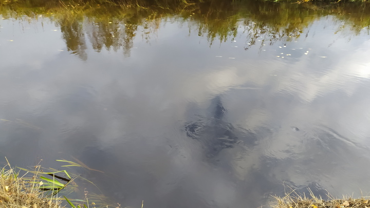 В Мостовском, Отрадненском и Лабинском районах из-за дождей могут подняться реки