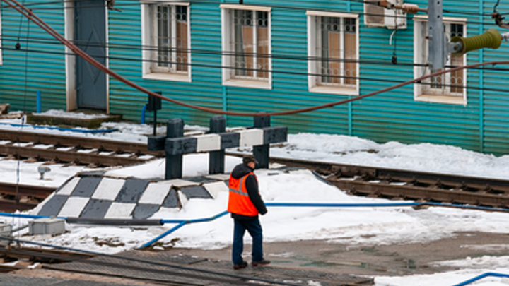 Два поезда дальнего следования застряли на пути в Санкт-Петербург из-за упавшего дерева
