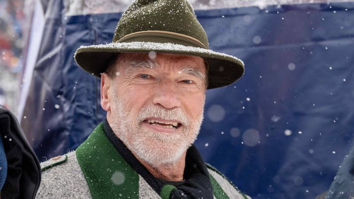 Начинающий специалист по ямочному ремонту. Шварценеггер сменил род деятельности