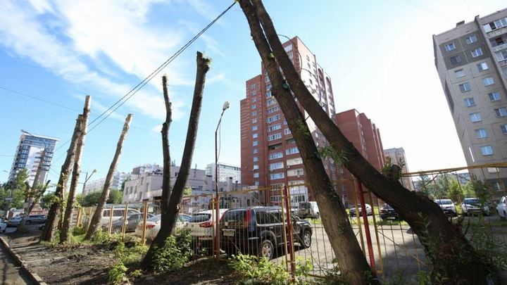 В Челябинске участковый вмешался в обрезку деревьев на улице Каслинской