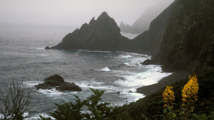 ЧС во Владивостоке: Дождь обошёлся в 370 млн рублей