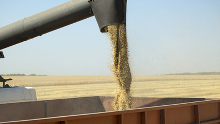 Порт Бердянска готовится к отгрузке еще 20 тыс. тонн зерна