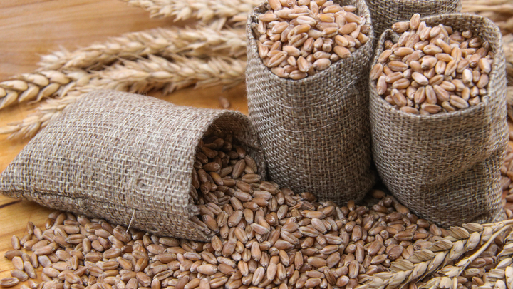 Эрдоган объявил о продлении зерновой сделки на два месяца, Москва согласилась - подробности