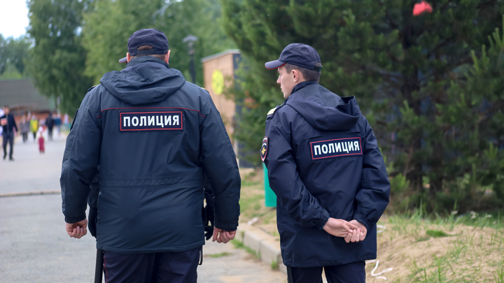 Похищение девочки предотвратили в Москве