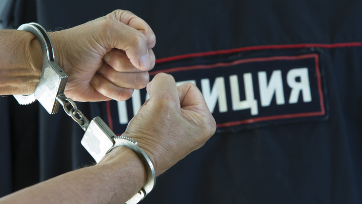 В Петербурге полицейские задержали первого фигуранта дела о нападении на прохожих