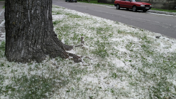 Как спастись от сезонной аллергии: советы врачей