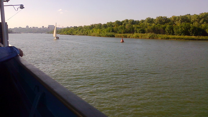 Новости Ростова-на-Дону 12 августа 2023: жалобы сотрудников транспортной компании