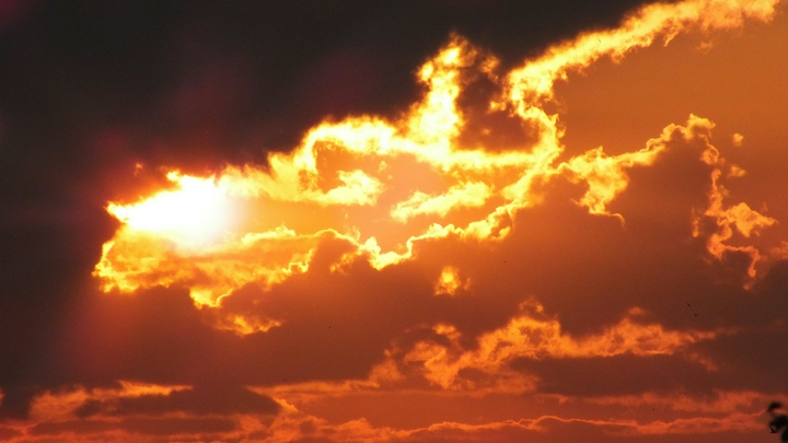 Над Киевом заметили огромную чёрную заразу. Украинцы напуганы: это знак?