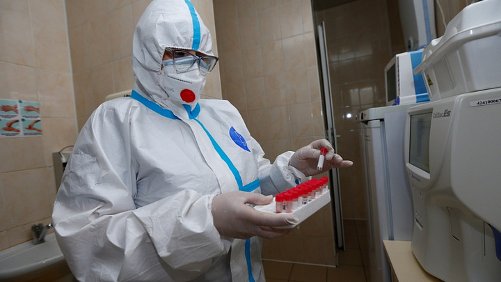 В Краснодарском крае за последние сутки зарегистрирован 521 случай COVID-19