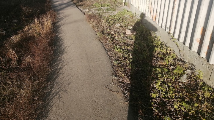 Закопал труп бывшей в огороде: в Кургане раскрыли убийство 13-летней давности